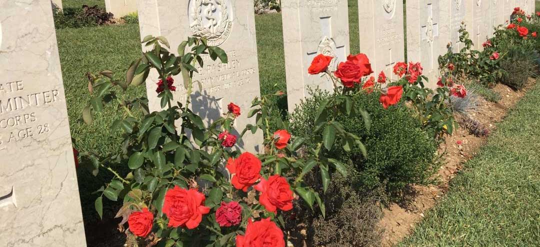 A line of marble gravestones with red roses
