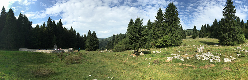 Panorama view of a wide grassy area bounded by evergreen trees. In the distance there's a small cemetery bounded by a low stone wall.