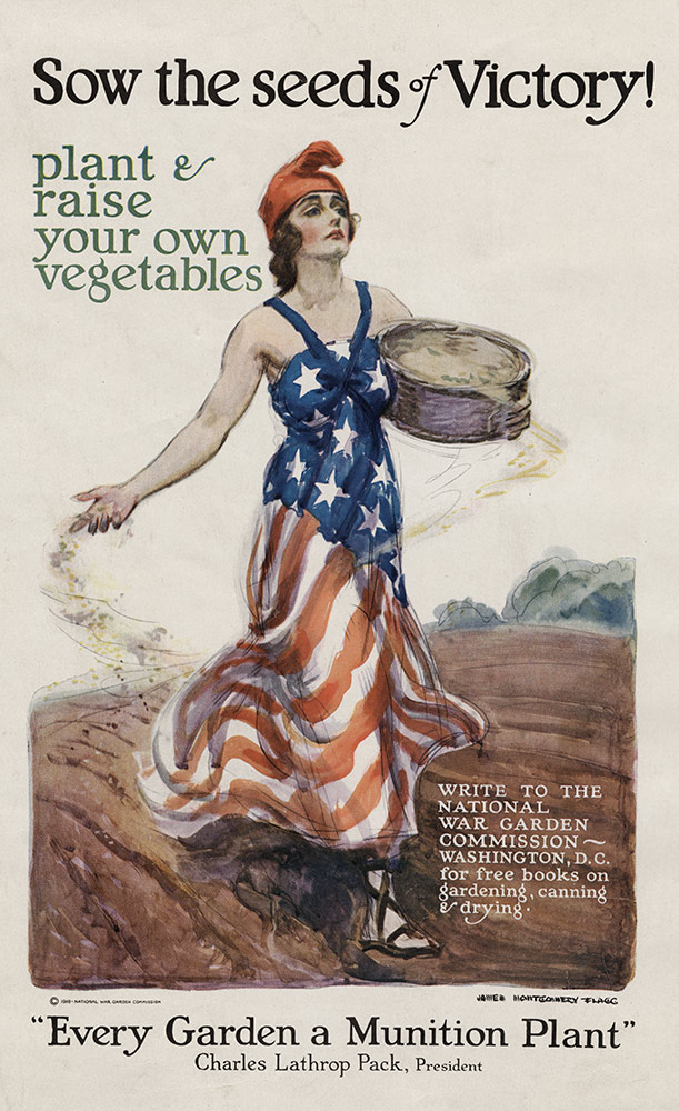 Sow the seeds of victory poster, encouraging vegetable gardens