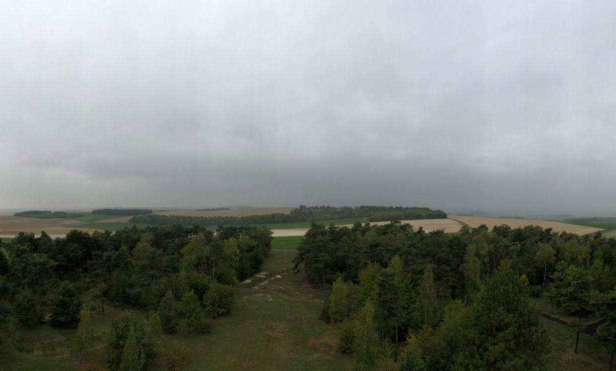 View over woods and fields