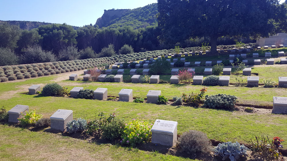 Rows of low rectangular grave markers with small shrubs between each one.