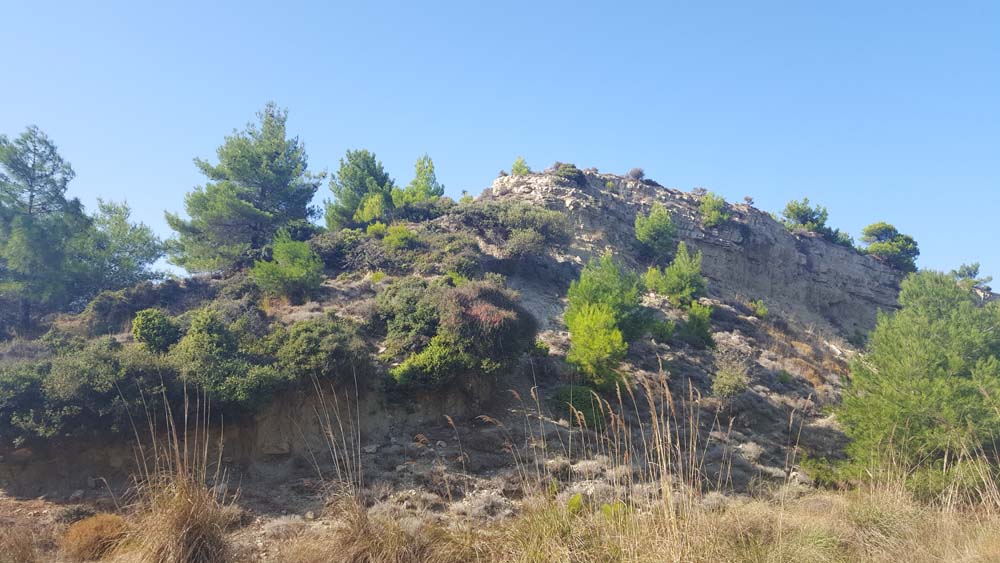 View of a stone ridge covered in trees.