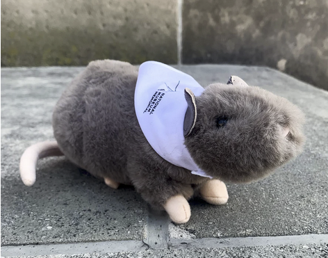 Photograph of an adorable stuffed trench rat plushie wearing a white bandana printed with the Museum logo