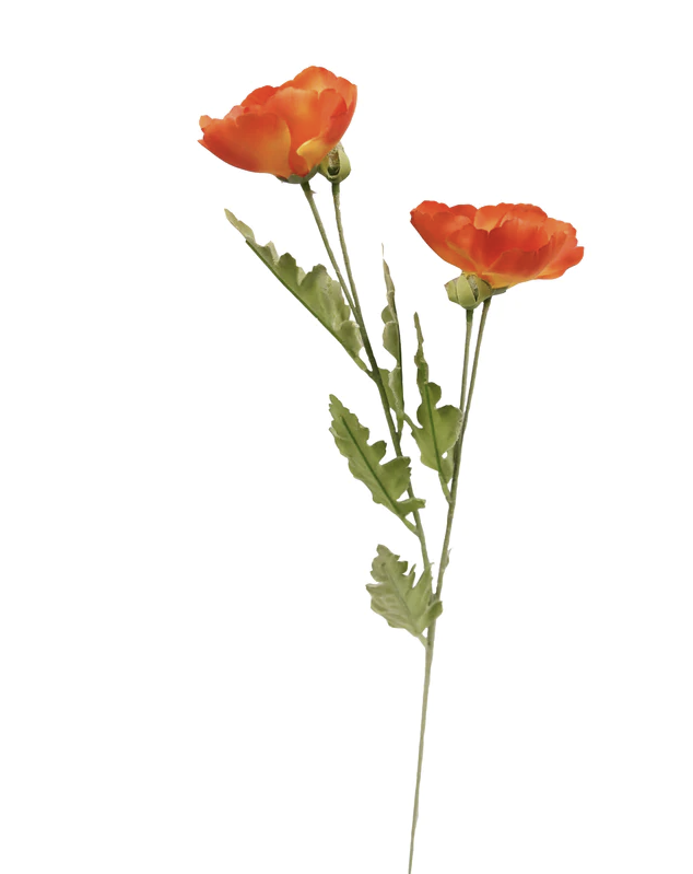 Modern photograph of an artificial silk poppy against a white background