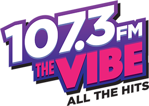 Logo for '107.3 FM The Vibe All the Hits'