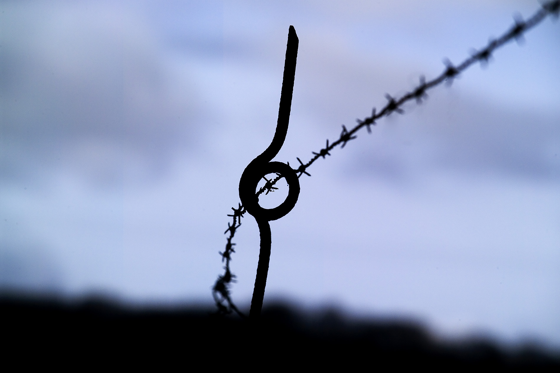 Modern photograph of barbed wire fencing against a gray sky backdrop.