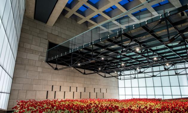 Poppy Patch – National WWI Museum and Memorial