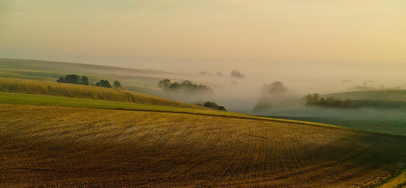 Modern photograph of gold and green fields on a misty morning