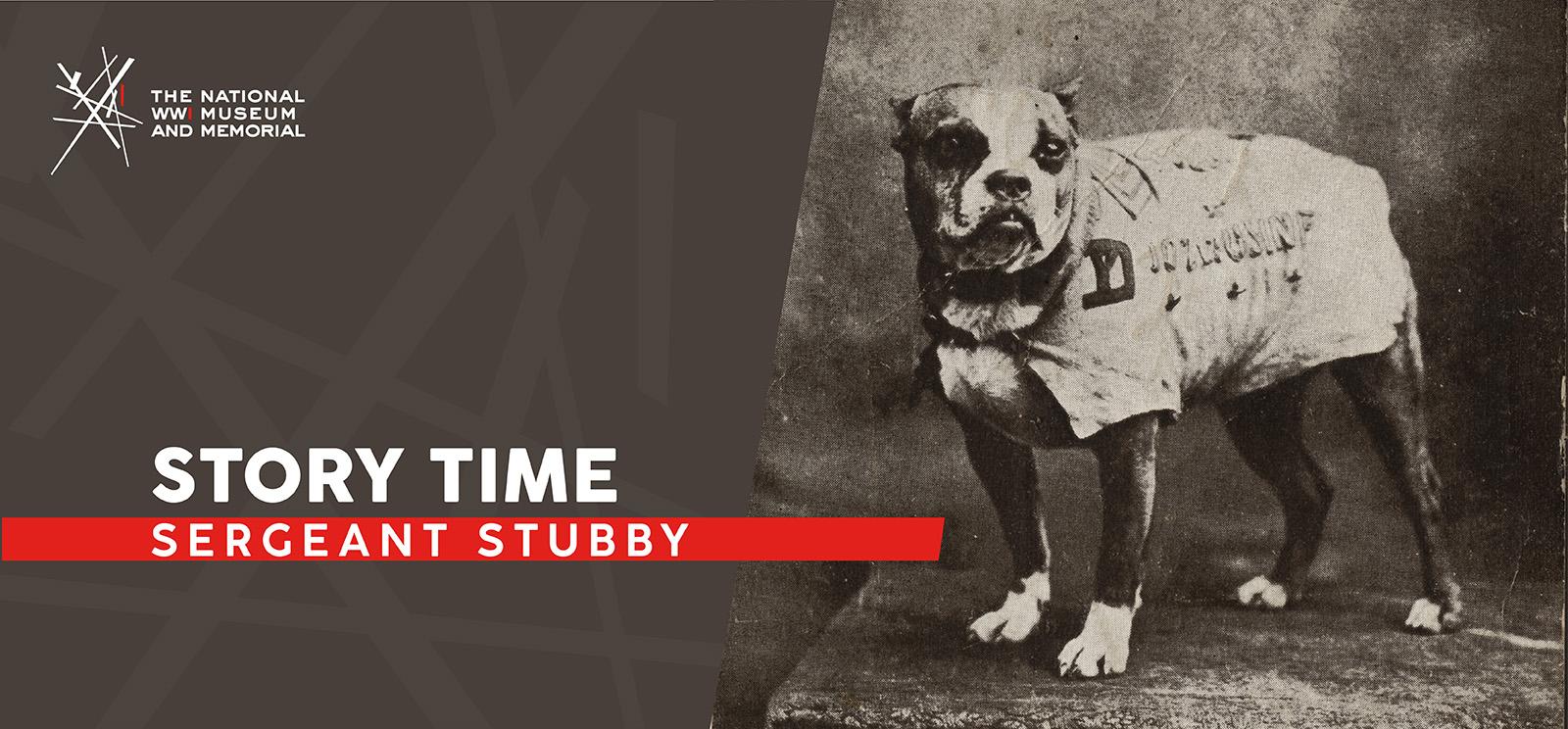 Image: black and white photograph of a Boston Terrier mutt wearing a coat posed against a studio backdrop. Text: 'Story Time / Sergeant Stubby'