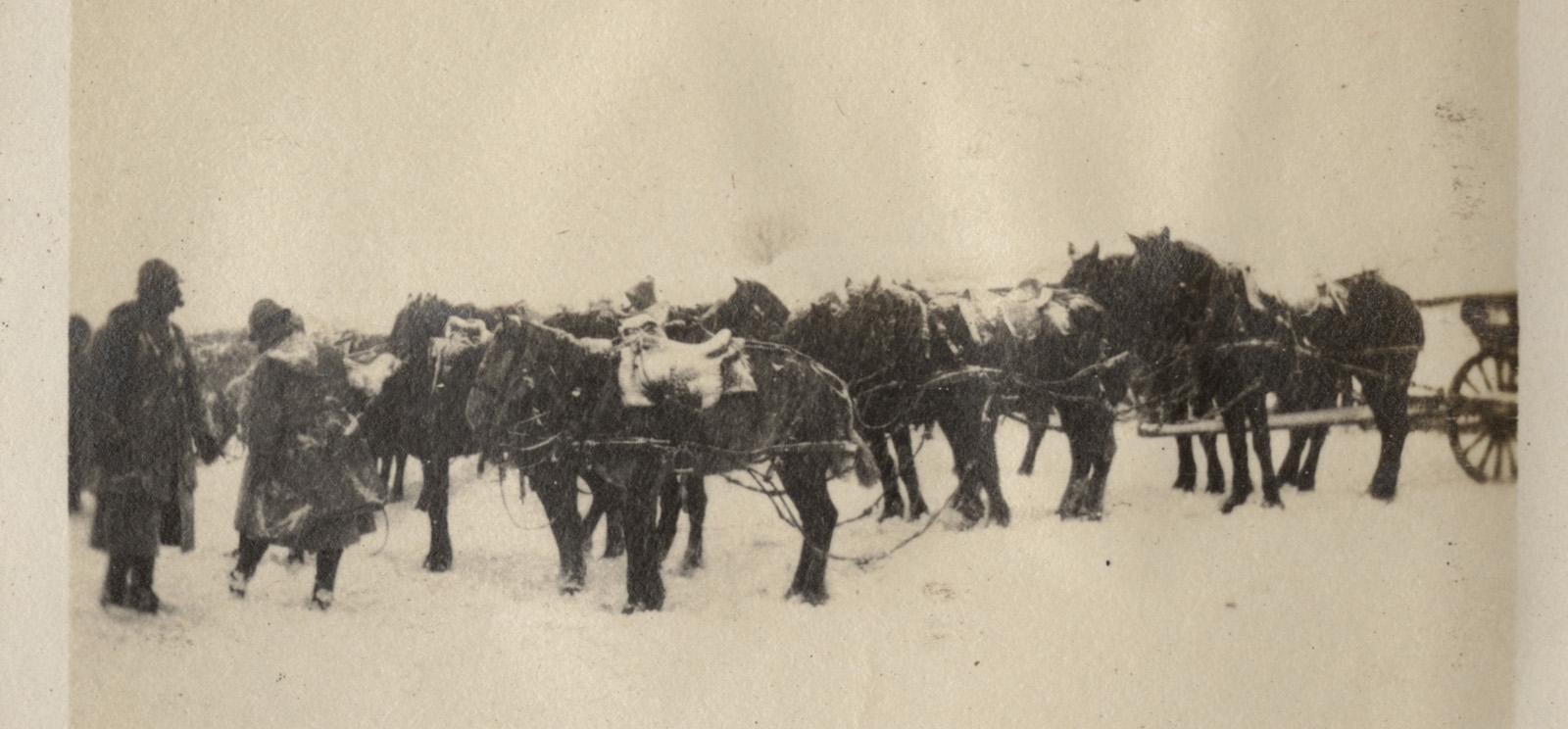 Black and white photograph of two soldiers in heavy winter coats and a team of horses harnessed to artillery, all covered in snow