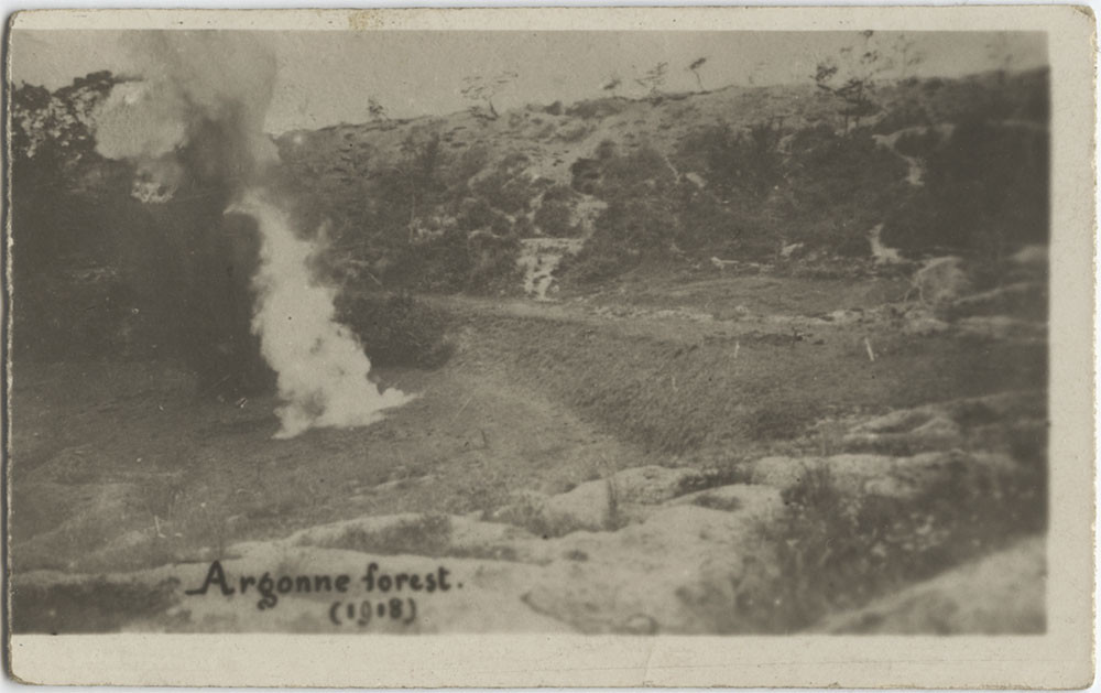 Black and white photo of a wide-angle forest landscape. A plume of smoke rises up in a clearing.