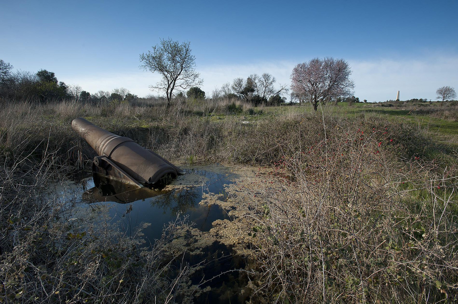 Modern photograph of a WWI-era heavy gun partially submerged in a swampy pool in an overgrown field